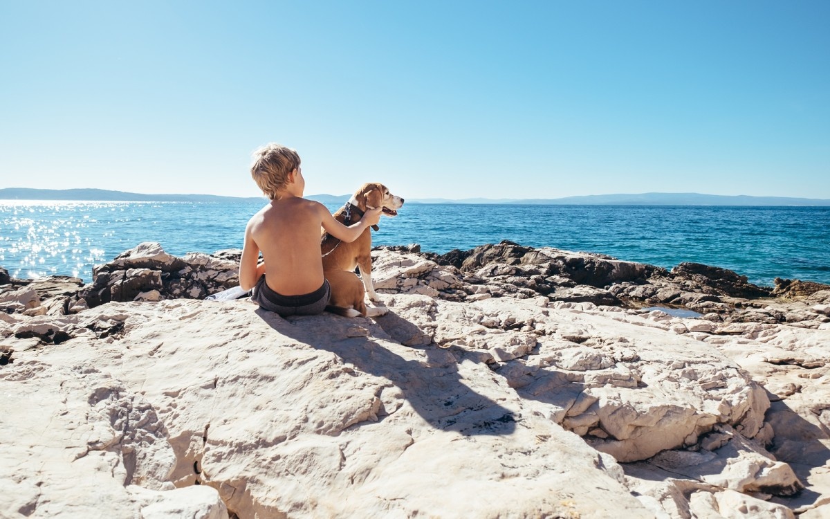 Otrok s psom sedi na kamniti plaži