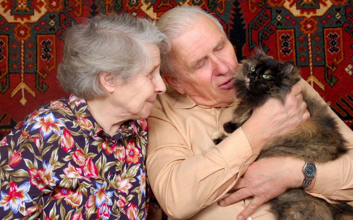 Starejši par v naročju drži in gleda mački z dolgo dlako.