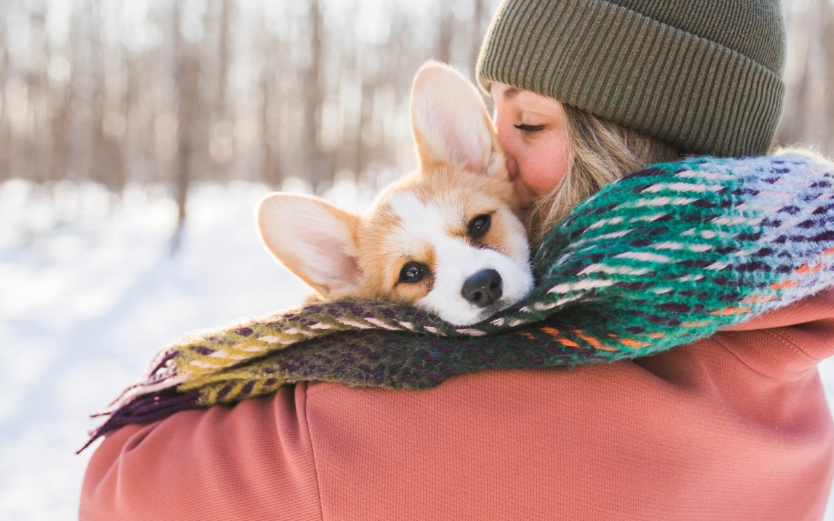 Corgi kuža gleda čez ramo ženske, ki ga drži v naročju, sredi zimske pokrajine.