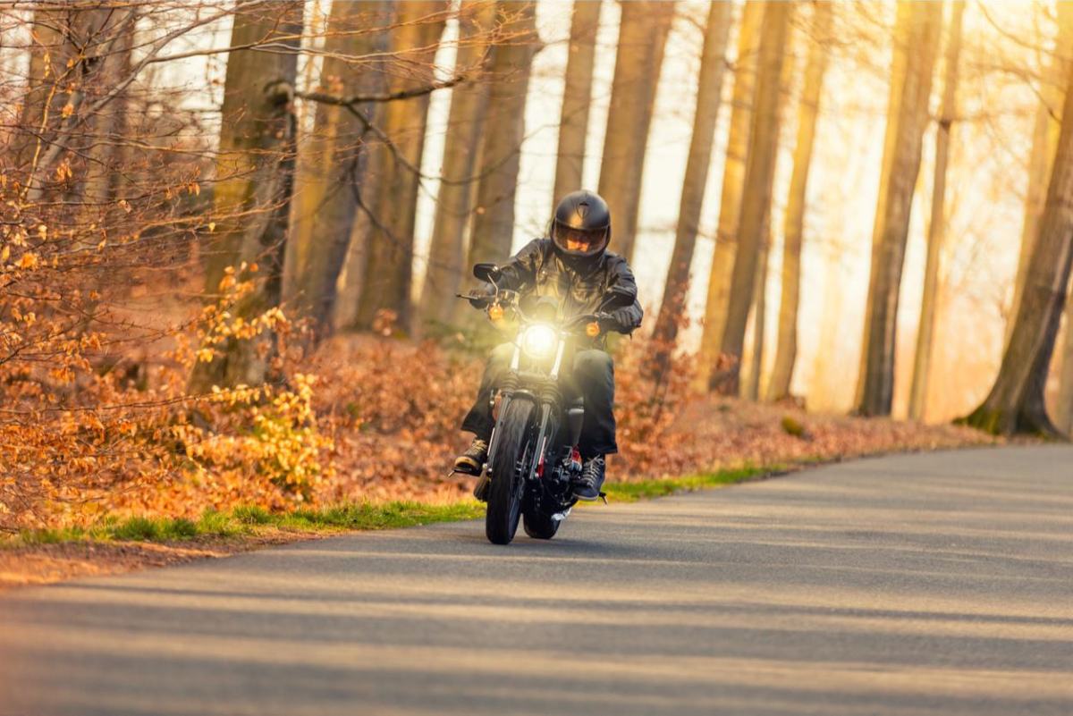 Motorist se vozi po cesti sredi jesenskega gozda.
