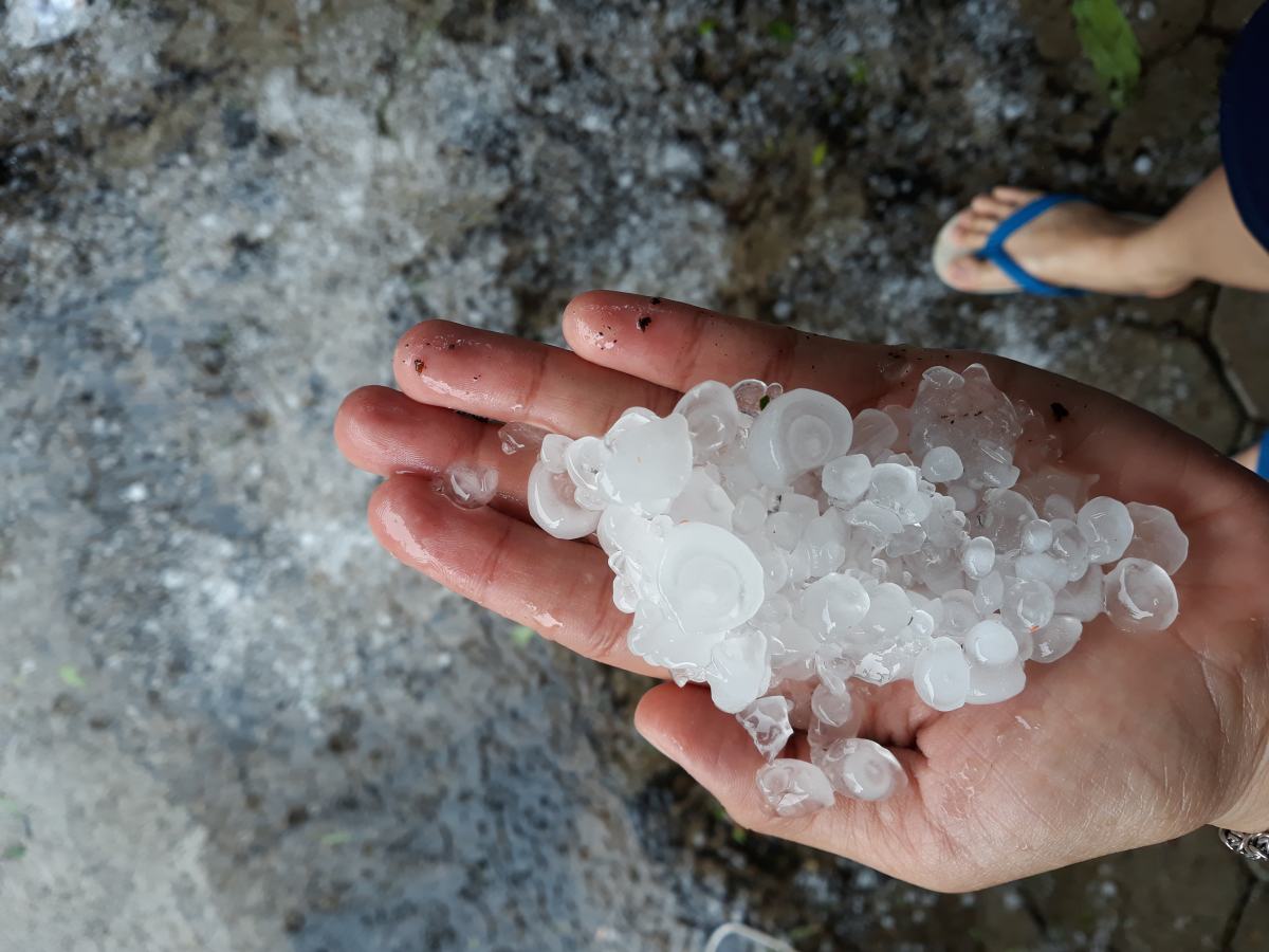 Dlan v kateri so velika zrna minule toče.