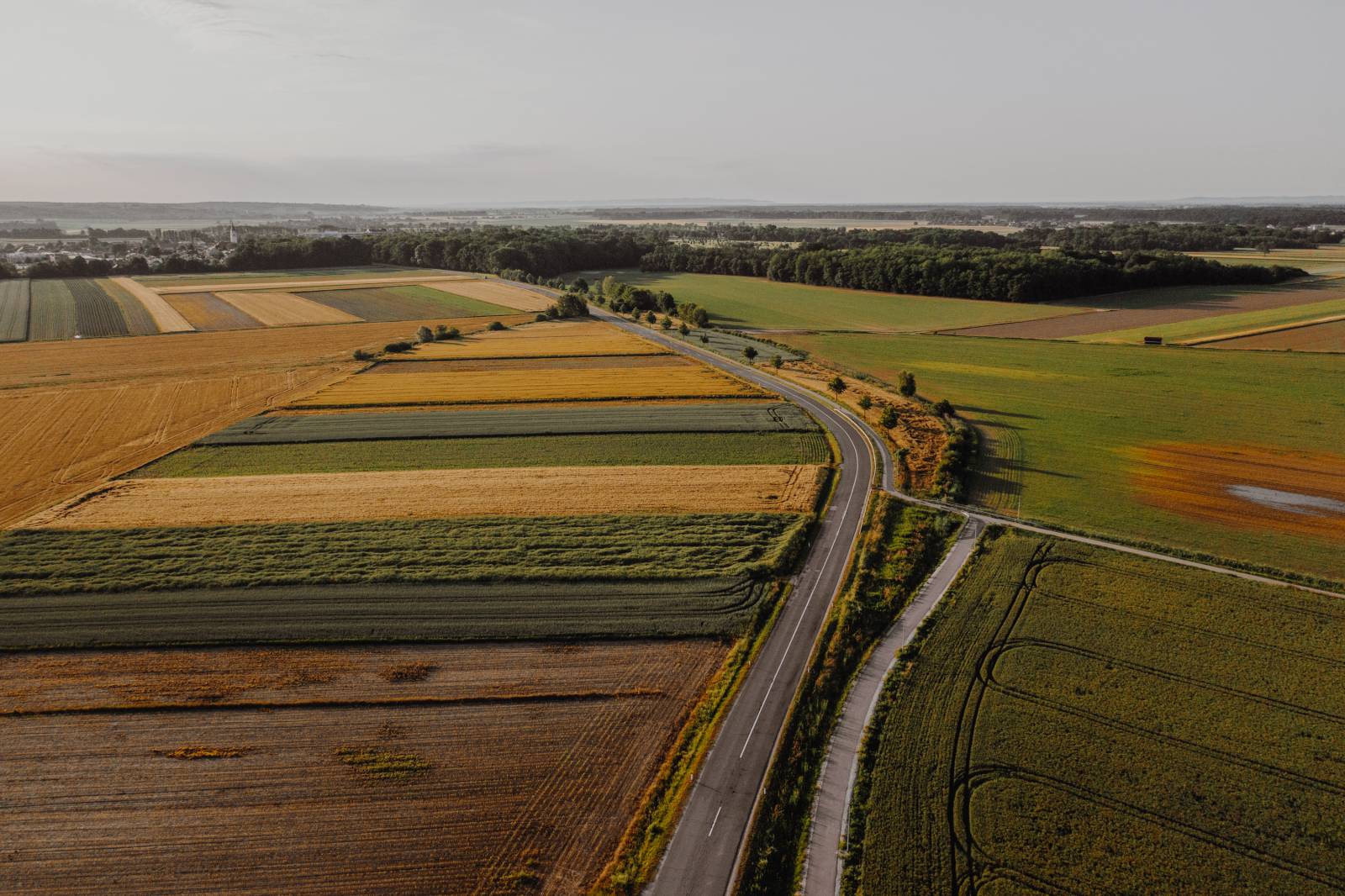 Pogled na cesto sredi pisanih travnikov in polj.