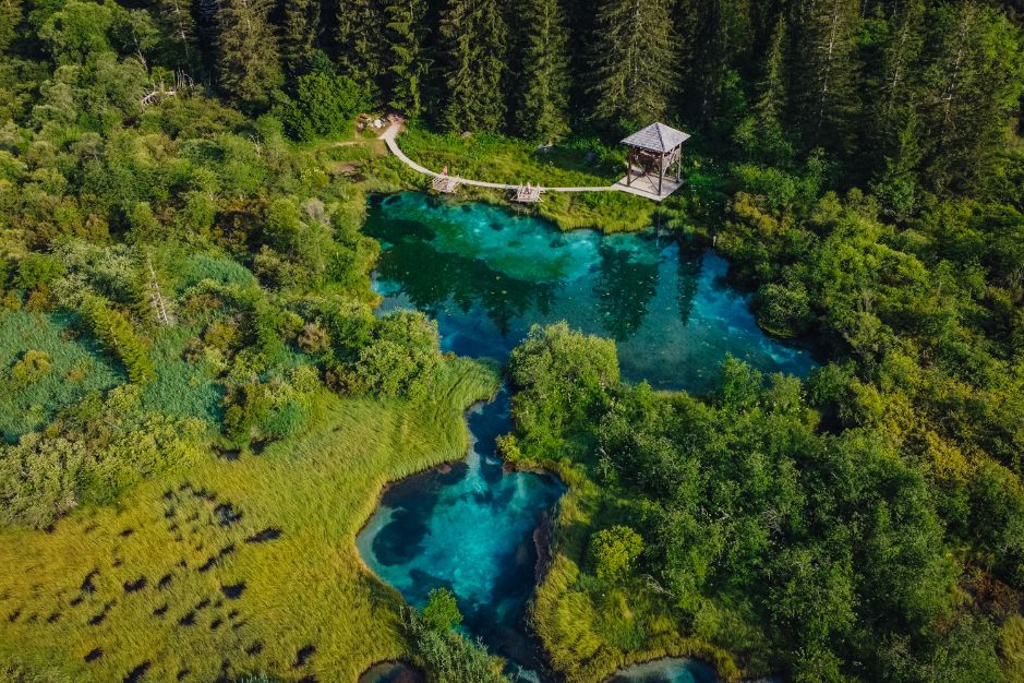 Lesen pomol in hišica ob jezeru in zeleni naravi.